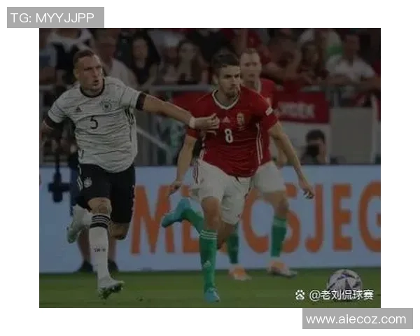 匆牙利对克罗地亚比赛结果分析及精彩瞬间回顾