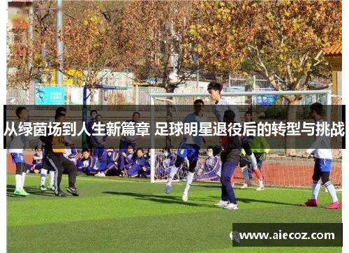 从绿茵场到人生新篇章 足球明星退役后的转型与挑战