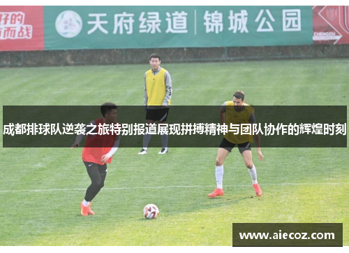 成都排球队逆袭之旅特别报道展现拼搏精神与团队协作的辉煌时刻