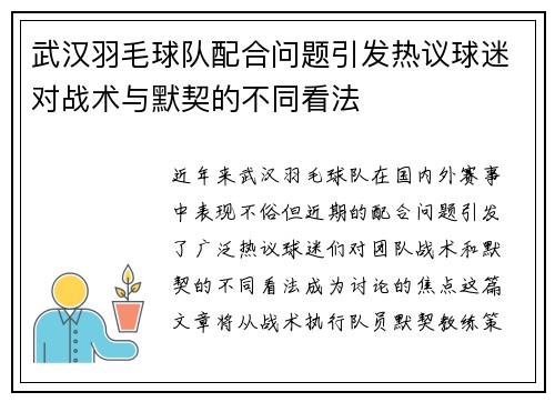 武汉羽毛球队配合问题引发热议球迷对战术与默契的不同看法