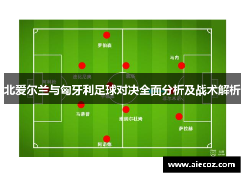 北爱尔兰与匈牙利足球对决全面分析及战术解析