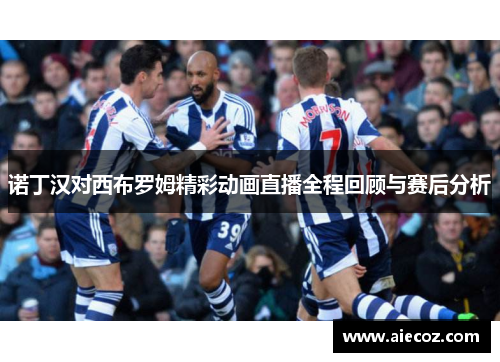 诺丁汉对西布罗姆精彩动画直播全程回顾与赛后分析