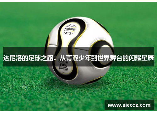 达尼洛的足球之路：从青涩少年到世界舞台的闪耀星辰